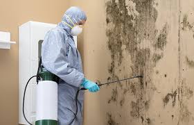 Best Industrial Mold Remediation  in Matteson, IL